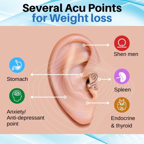 🎅 Early Xmas Sales 🎄 Last Day Discount 🌸(Limited Time Discount 🔥 Last Day)Histone Acupressure Slimming Earrings - Image 4